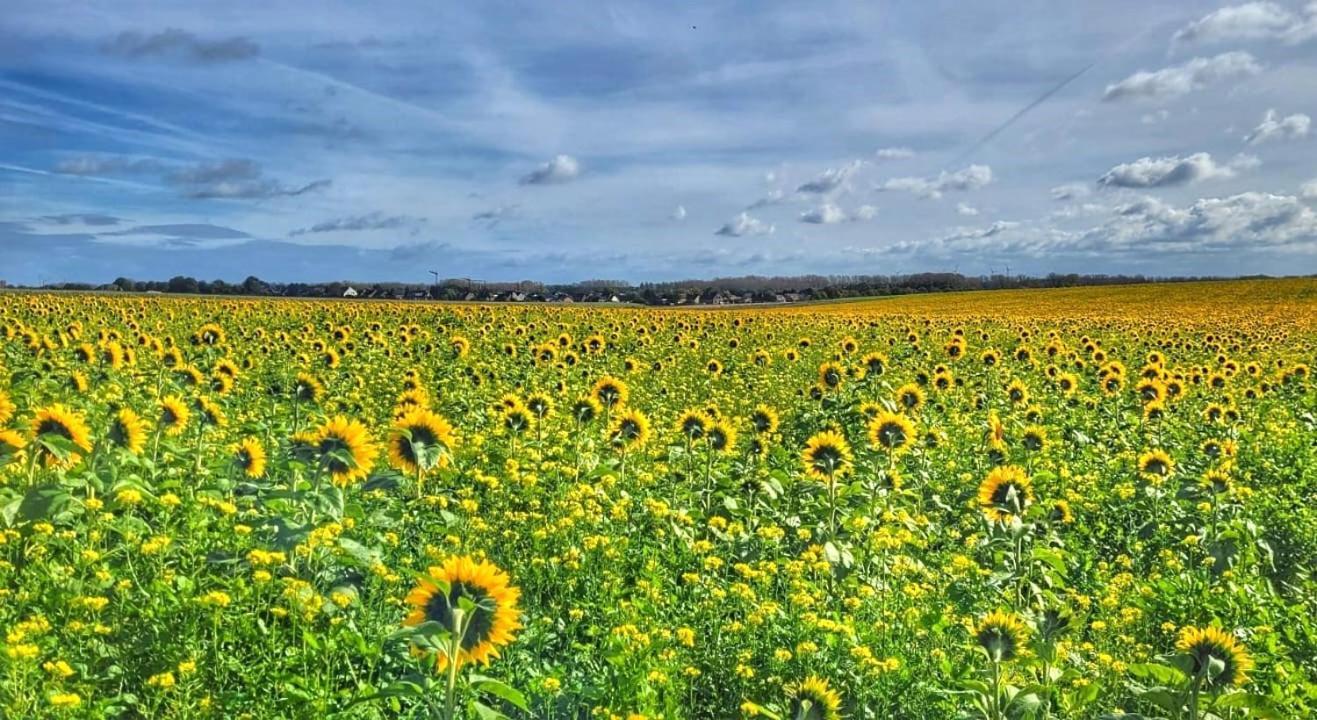 Hoeve Hofgaarde Heers Eksteriør bilde