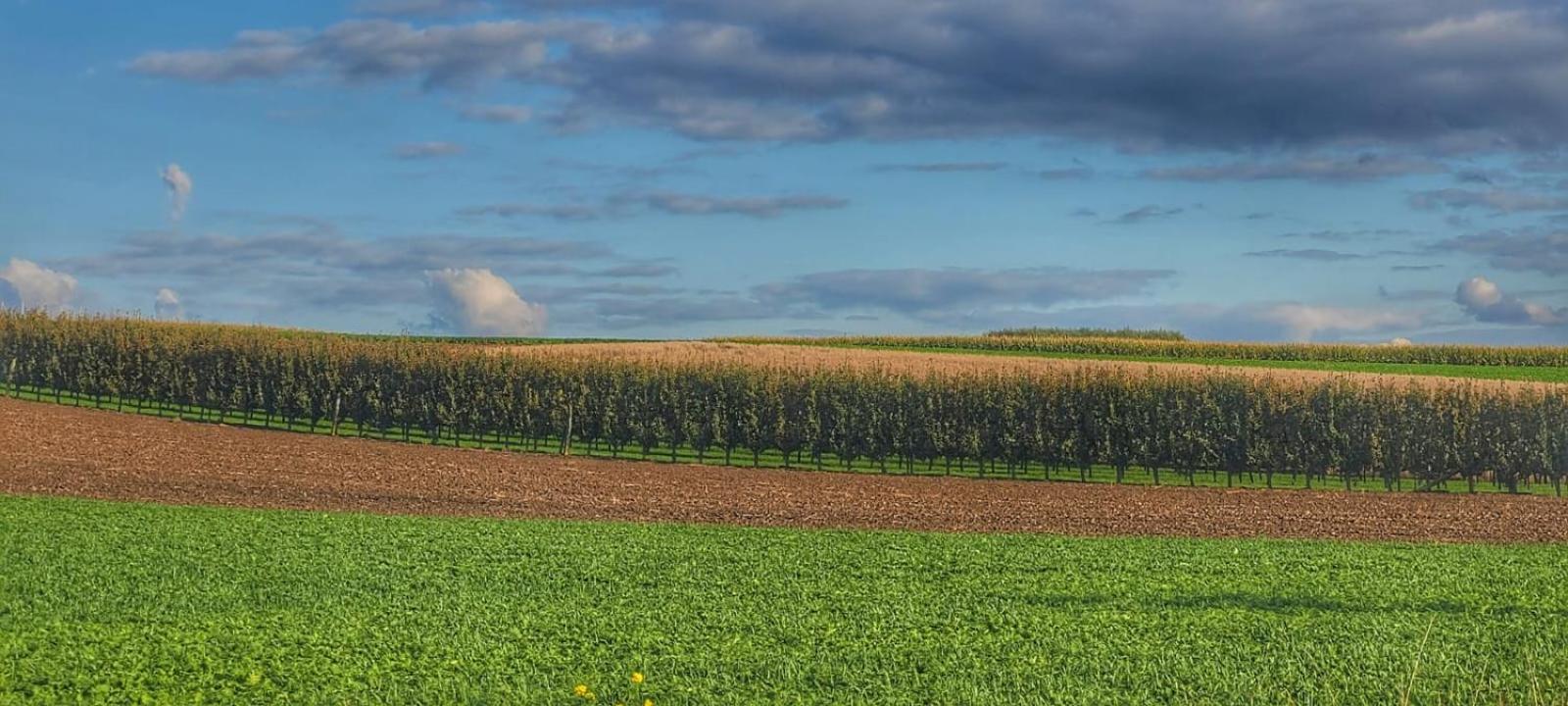 Hoeve Hofgaarde Heers Eksteriør bilde