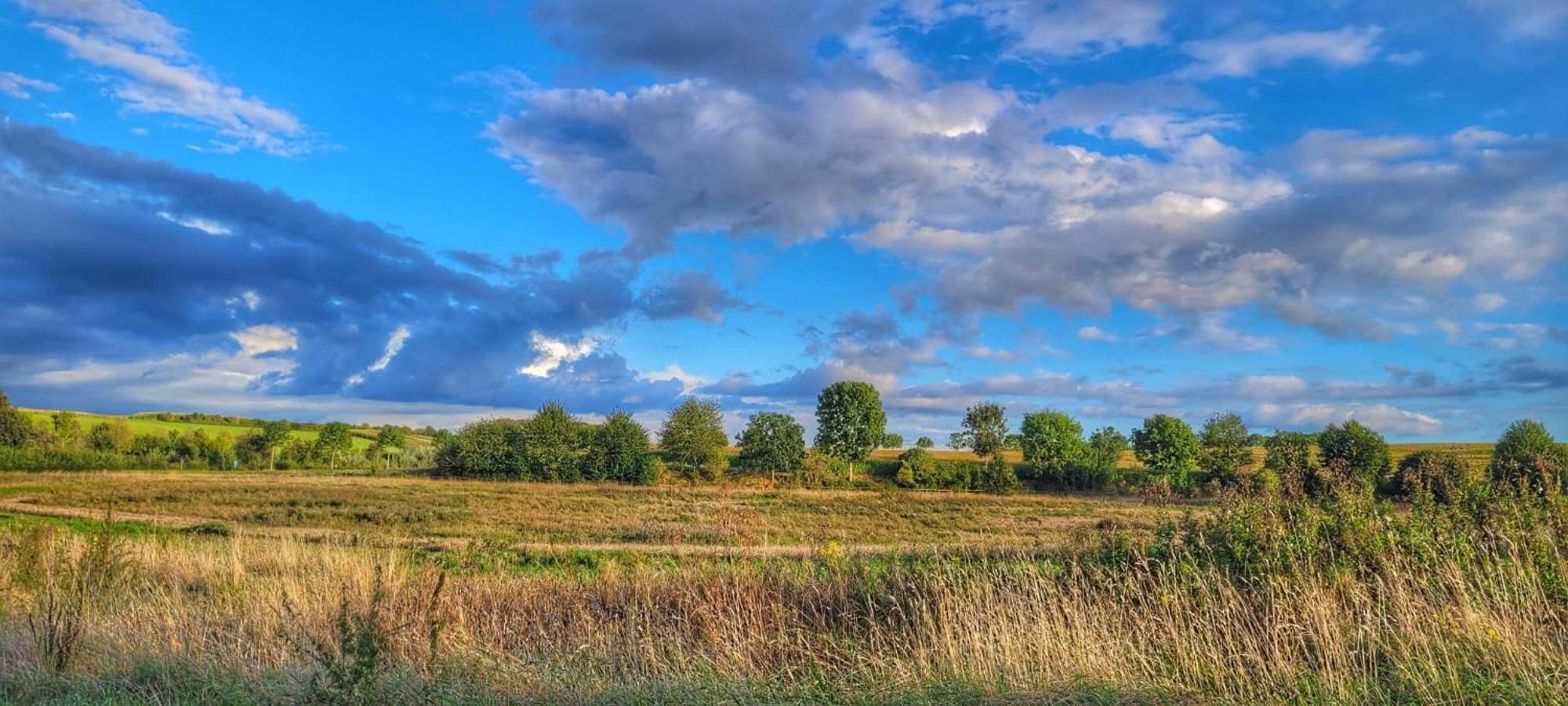 Hoeve Hofgaarde Heers Eksteriør bilde
